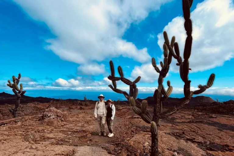 galapagos horseback riding ridges of sierra negra volcano 6028728